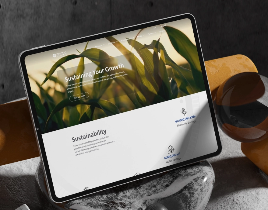 Helping in Achieving Sustainability Goals